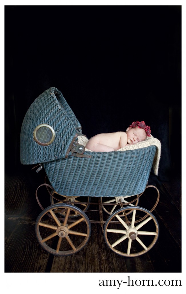 baby in antique buggy, vintage newborn portraits, baby in basket, newborn art photographs