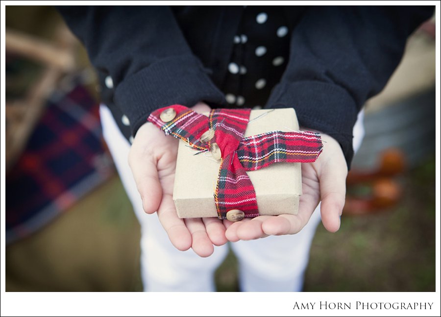 amy horn photography, madison indiana photographer, christmas mini session, barn photo, christmas photo, children, inspiration, christmas card photo ideas, amy horn, milton kentucky photographer, lawrenceburg indiana photographer, family photographer, child photographer, christmas portrait