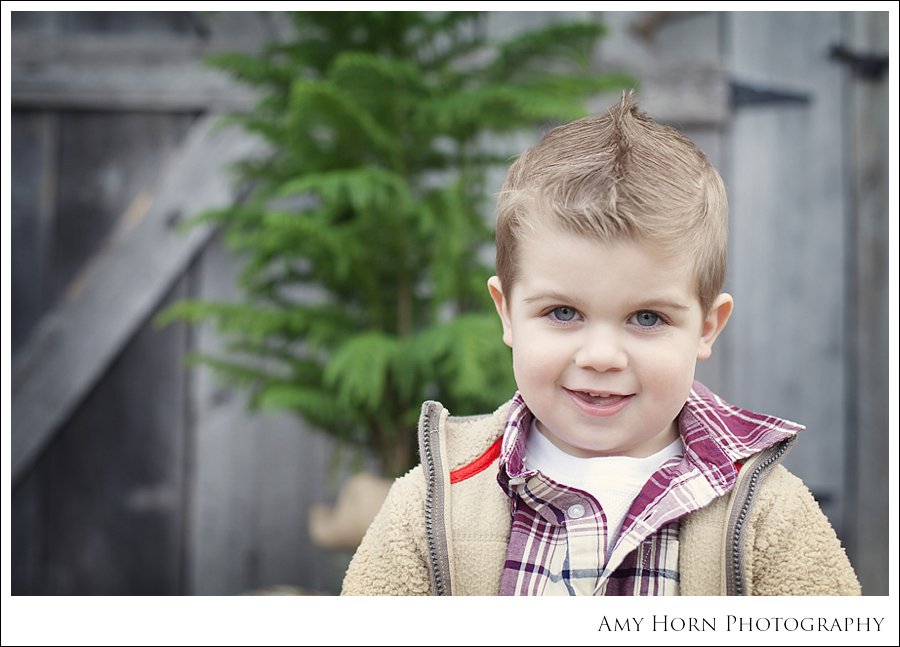 cincinnati ohio photographer, nothern kentucky photographer, madison indiana photographer, versailles indiana family portrait, child portrait, christmas portrait, christmas card photos