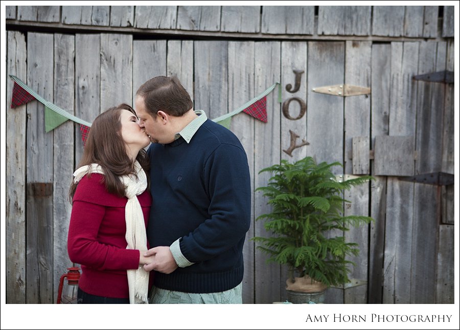 cincinnati ohio photographer, nothern kentucky photographer, madison indiana photographer, versailles indiana family portrait, child portrait, christmas portrait, christmas card photos