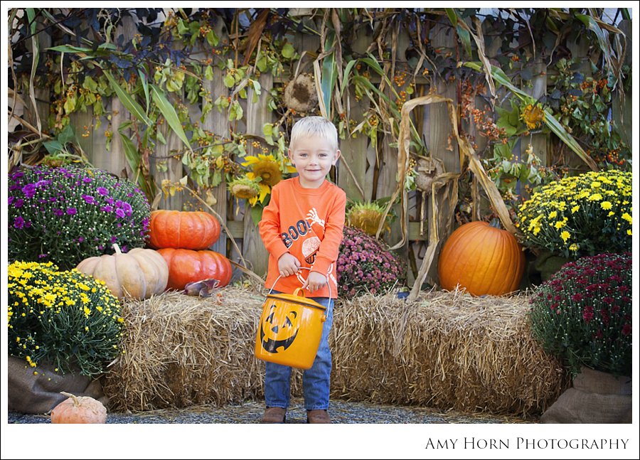 madison indiana photographer, child portrait photographer, fall mini session, styled session, halloween costume session, amy horn photography, family photographer, madison mini sessions, little golden fox, fall photo session, child portraits.jpg