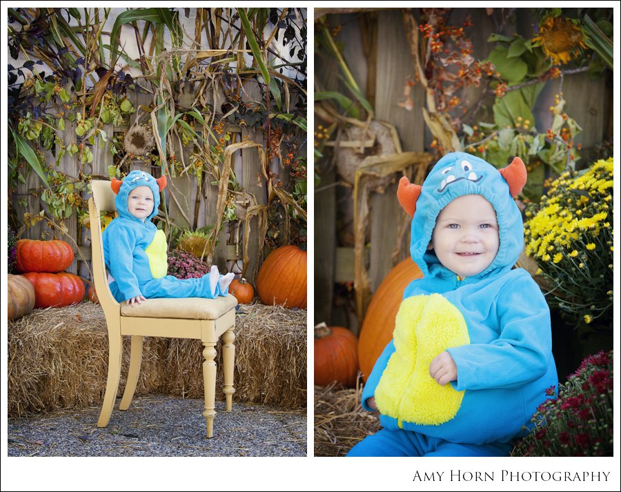 madison indiana photographer, child portrait photographer, fall mini session, styled session, halloween costume session, amy horn photography, family photographer, madison mini sessions, little golden fox, fall photo session, child portraits021.jpg