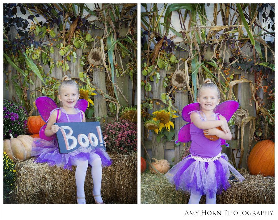 madison indiana photographer, child portrait photographer, fall mini session, styled session, halloween costume session, amy horn photography, family photographer, madison mini sessions, little golden fox, fall photo session, child portraits022.jpg