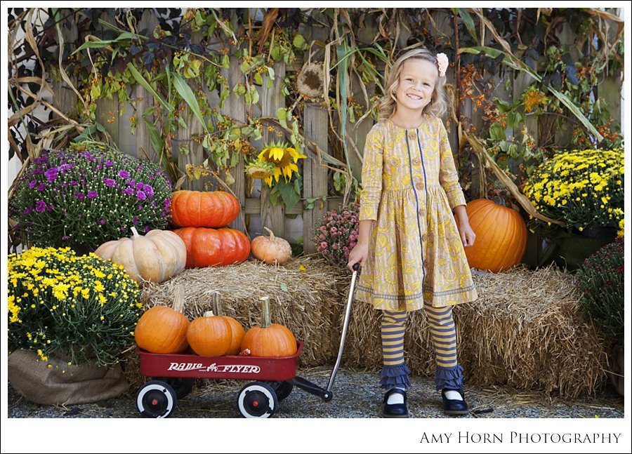 madison indiana photographer, child portrait photographer, fall mini session, styled session, halloween costume session, amy horn photography, family photographer, madison mini sessions, little golden fox, fall photo session, child portraits023.jpg