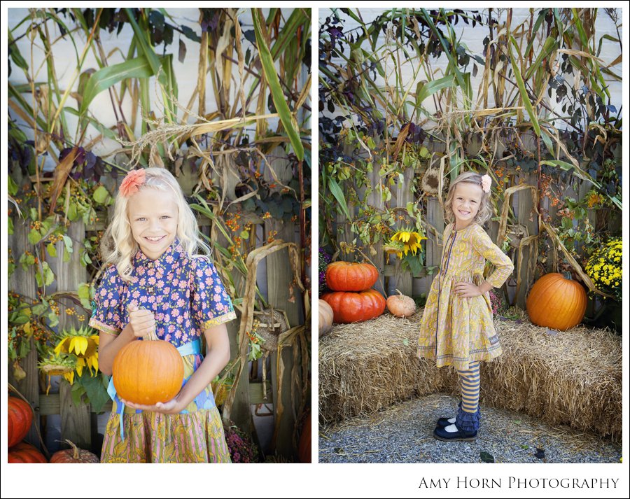 madison indiana photographer, child portrait photographer, fall mini session, styled session, halloween costume session, amy horn photography, family photographer, madison mini sessions, little golden fox, fall photo session, child portraits025.jpg