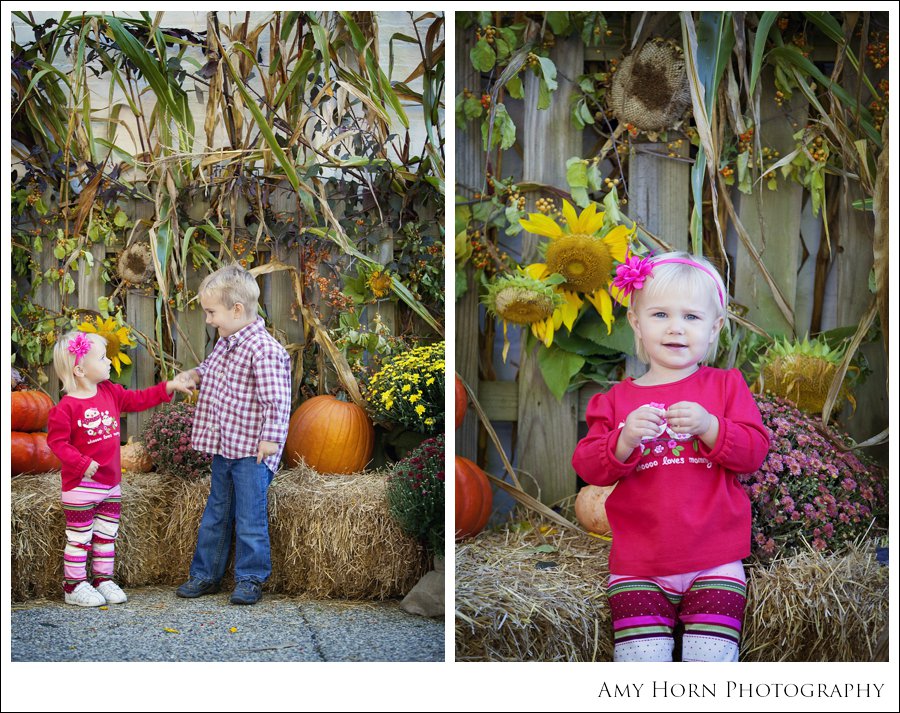 madison indiana photographer, child portrait photographer, fall mini session, styled session, halloween costume session, amy horn photography, family photographer, madison mini sessions, little golden fox, fall photo session, child portraits028.jpg