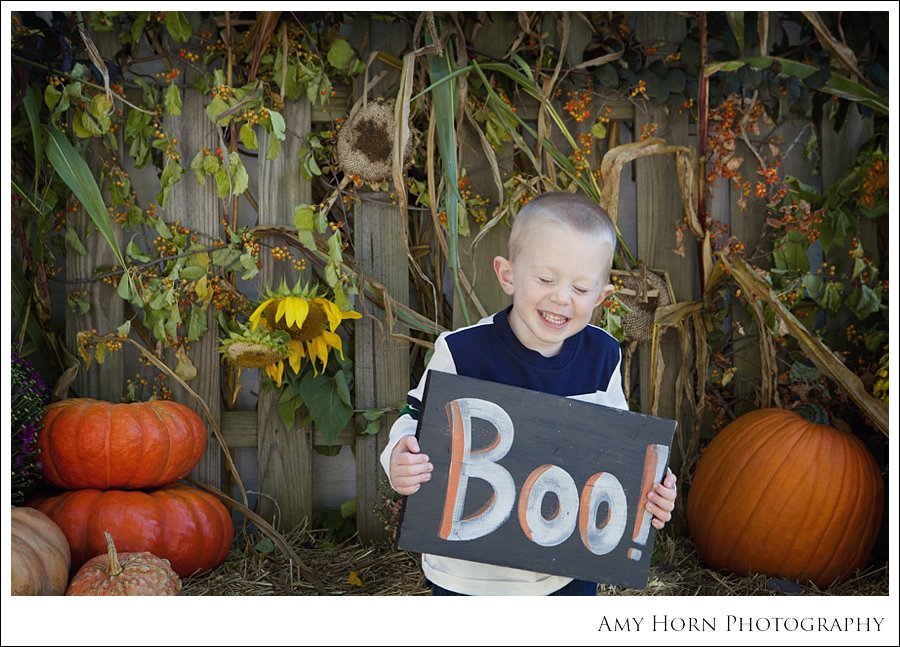 madison indiana photographer, child portrait photographer, fall mini session, styled session, halloween costume session, amy horn photography, family photographer, madison mini sessions, little golden fox, fall photo session, child portraits029.jpg