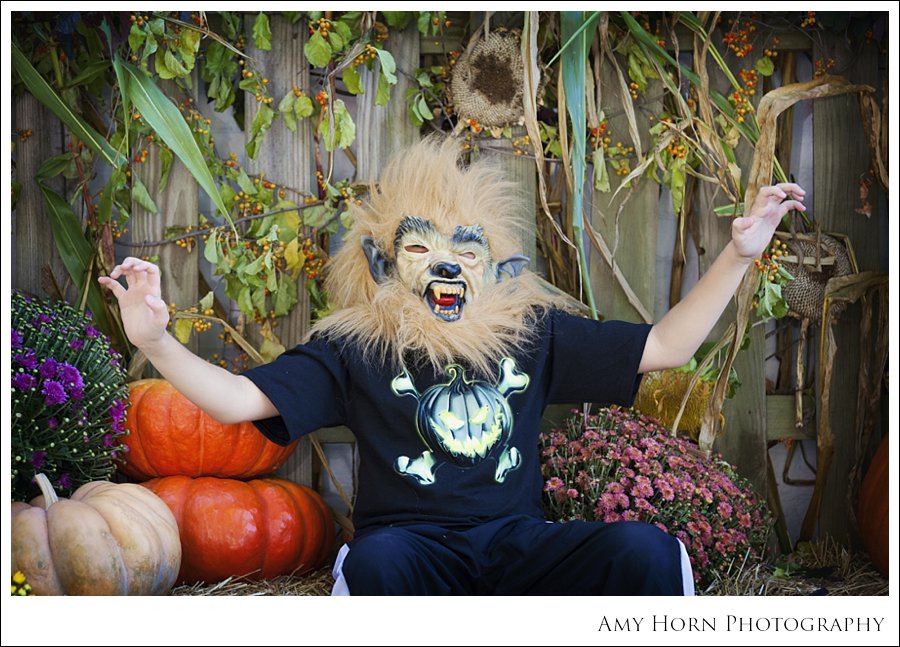 madison indiana photographer, child portrait photographer, fall mini session, styled session, halloween costume session, amy horn photography, family photographer, madison mini sessions, little golden fox, fall photo session, child portraits033.jpg