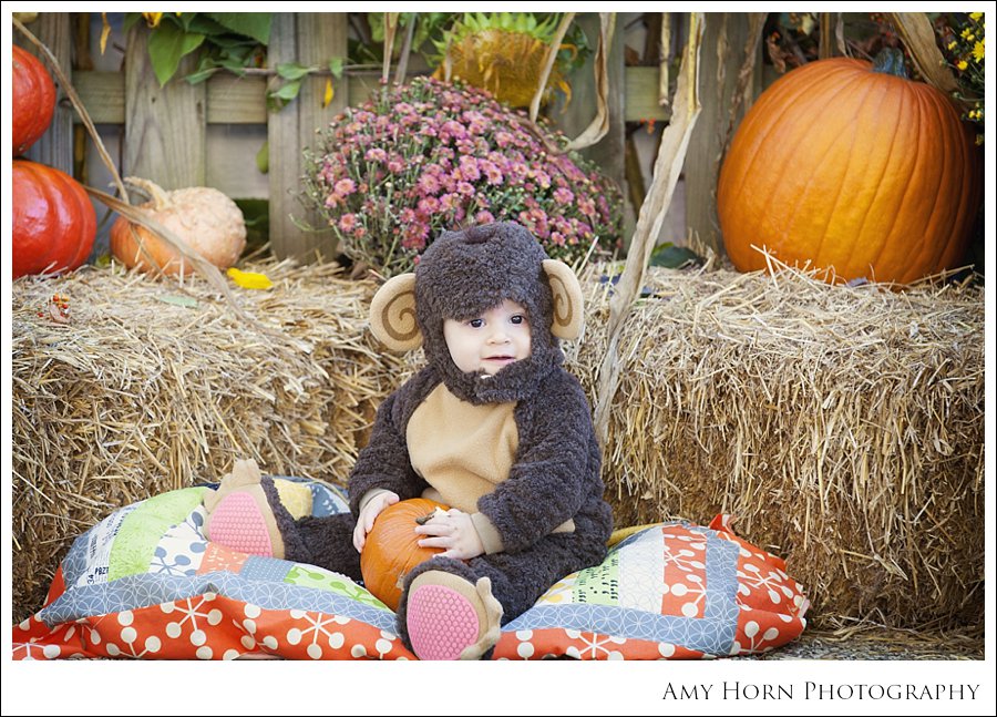 madison indiana photographer, child portrait photographer, fall mini session, styled session, halloween costume session, amy horn photography, family photographer, madison mini sessions, little golden fox, fall photo session, child portraits034.jpg