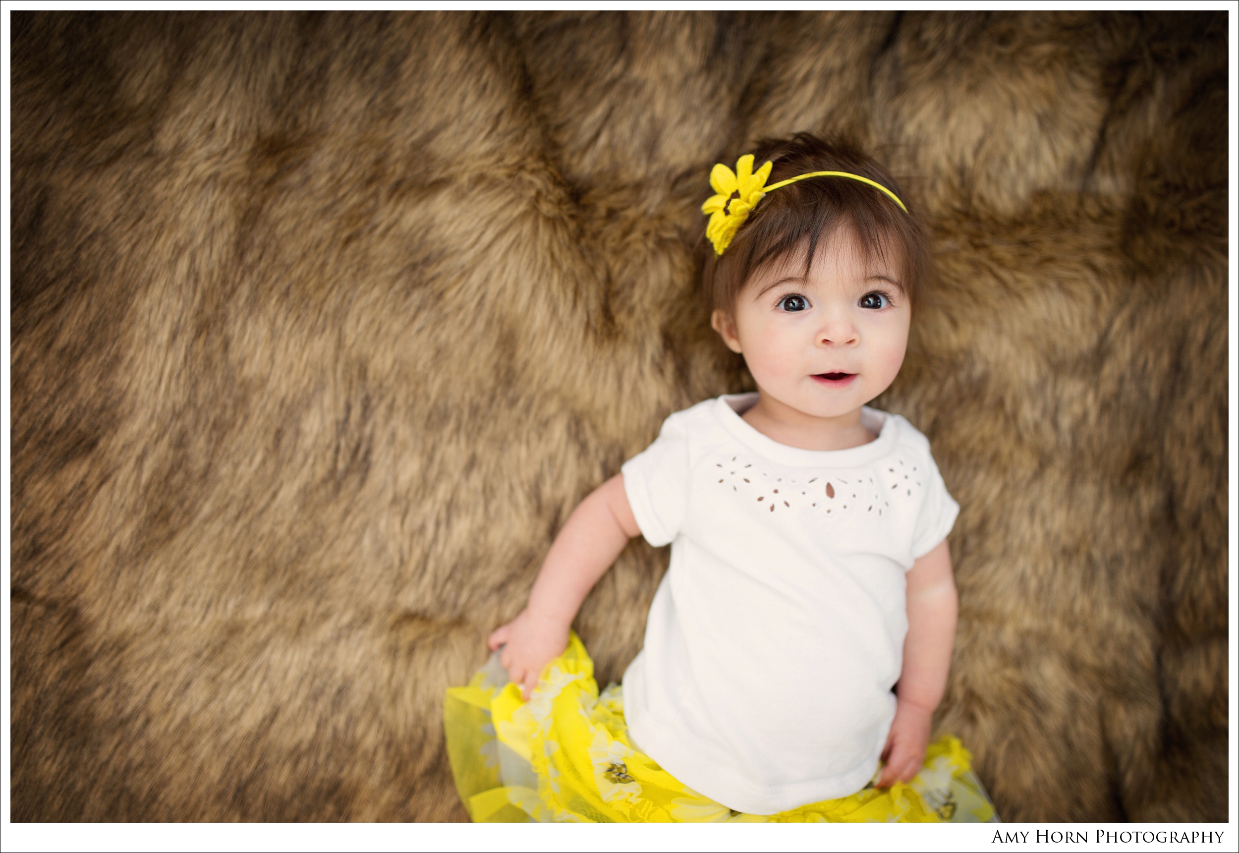 cincinnati ohio photographer, studio photographer, spring grove studios, lawrenceburg indiana photographer, northern kentucky photographer, studio photography, baby studio photography, six month old photo inspiration, self sitter photo inspiration, baby girl photo, amy horn photography